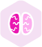 brainAsset 2